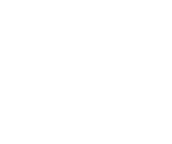American Compass Logo