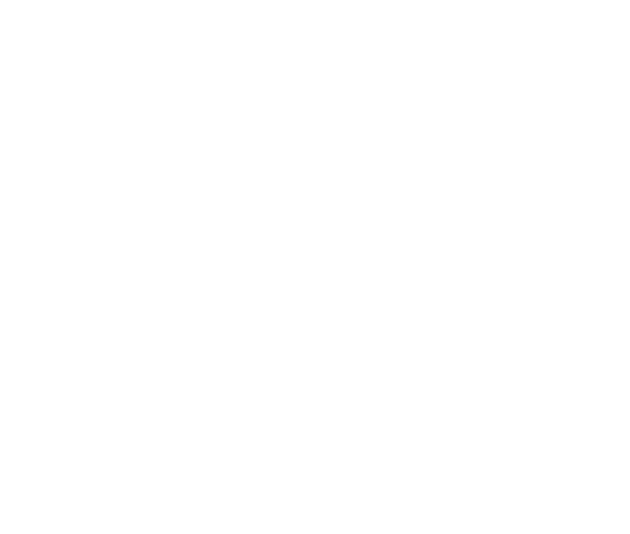 University of Ottawa Logo